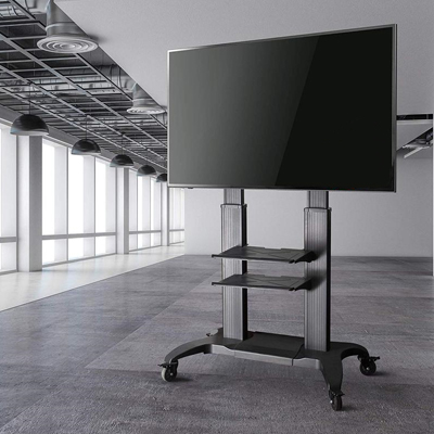 Adjustable Mobile TV Stand