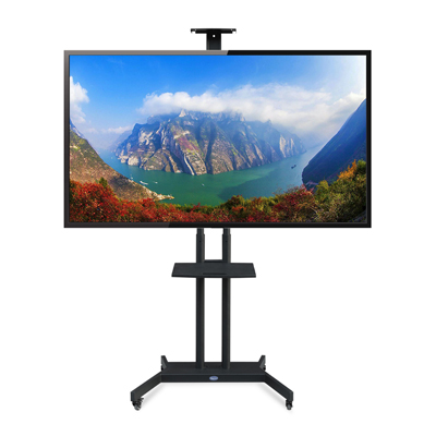 Adjustable Mobile TV Stand